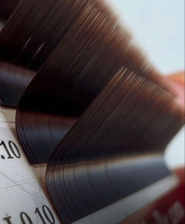 Brown Classic Lash Extensions